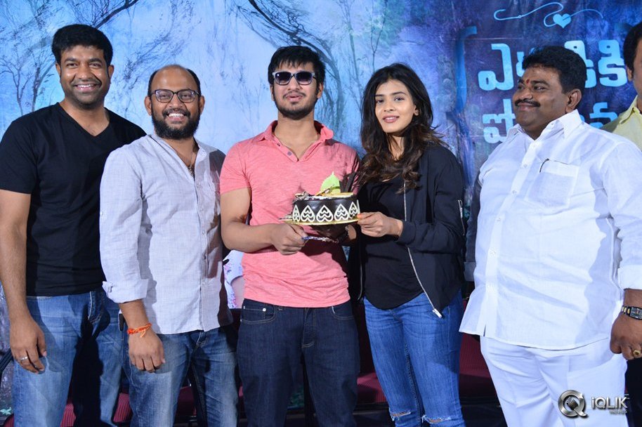 Ekkadiki-Pothavu-Chinnavada-Movie-Thanks-Meet